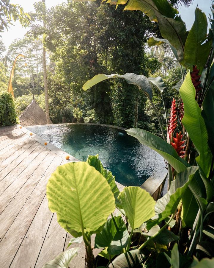 Basundari Retreat Ubud Hotel Exterior photo
